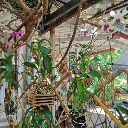 Готель Patty'S Secret Garden Ко-Ланта Екстер'єр фото